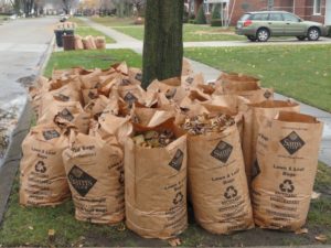 Yard Waste Pickup Resumes April 13 – University District Community