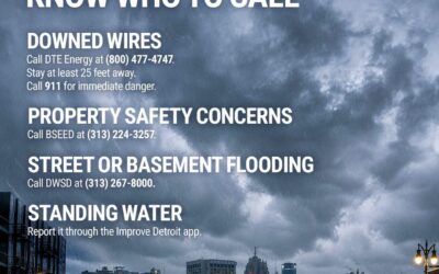 Storm Response & Safety Tips