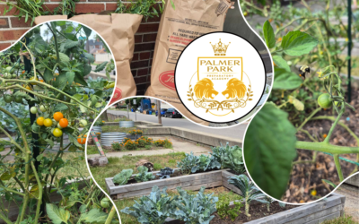 UDCA Helps Palmer Park Prep Academy Get Garden Ready for Students & Teachers